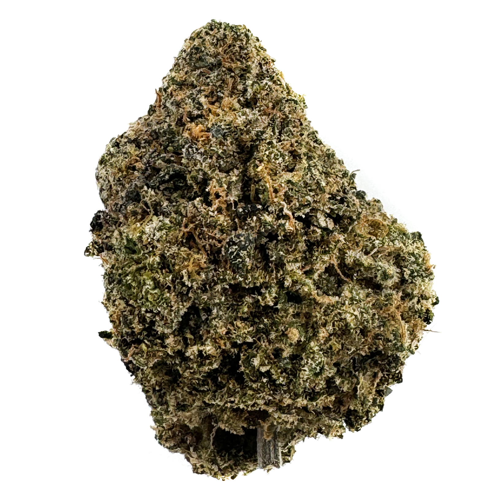 OG Farms | Sun Grown Bulk Flower | Dan's Gift