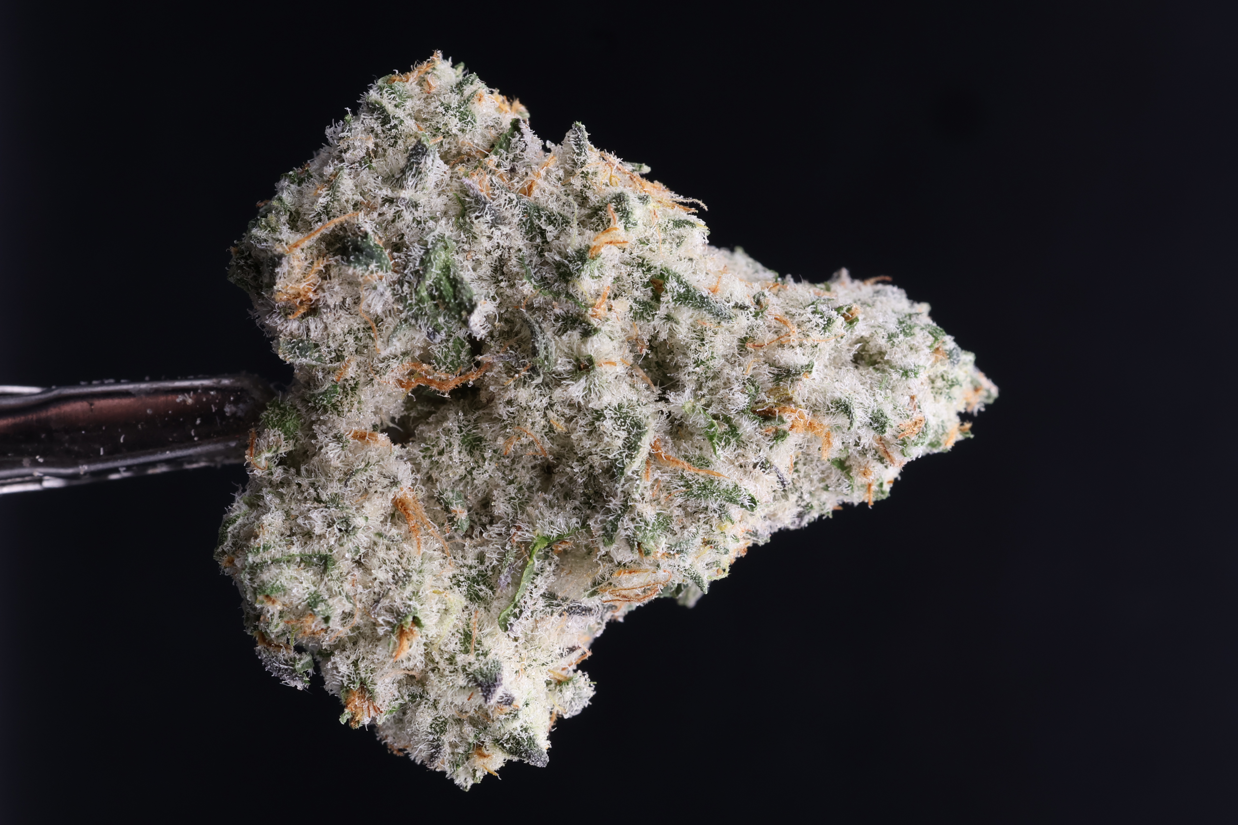 Cap Junky (Resin Ranchers)
