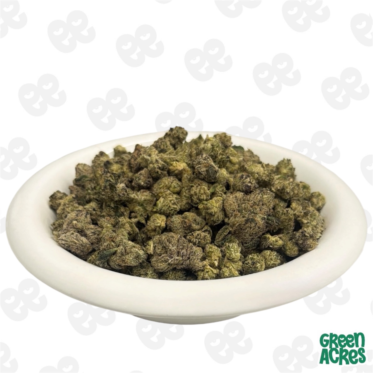 (H) Pleasantrees: Jet Fuel Runtz (H)