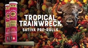 National Cannabis Co. | Tropical Trainwreck | 1g Flavored Infused Pre-Roll