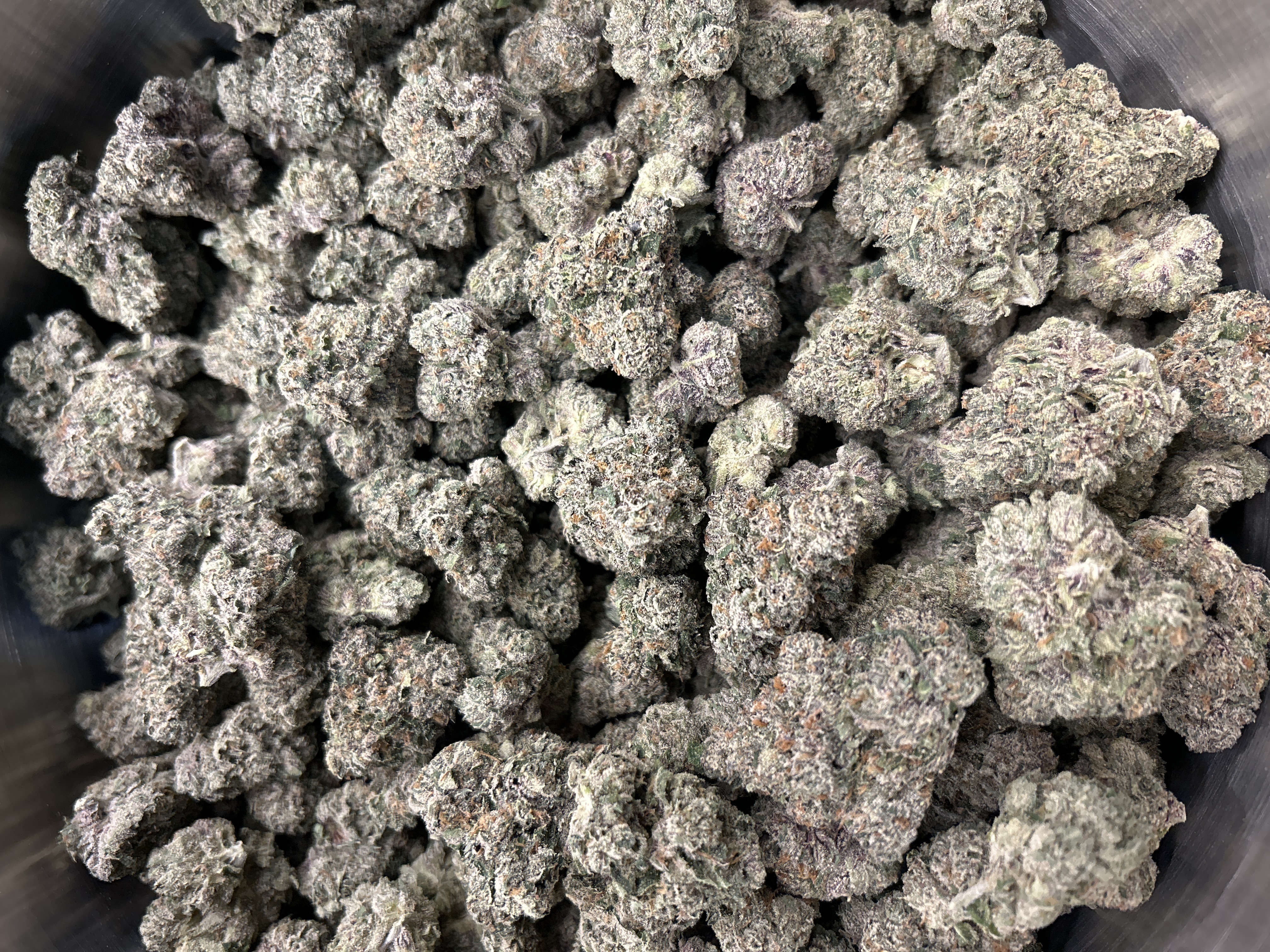 Harbor House | Fire As Fuck | Buds | 2.6% Terps (1g) product photo