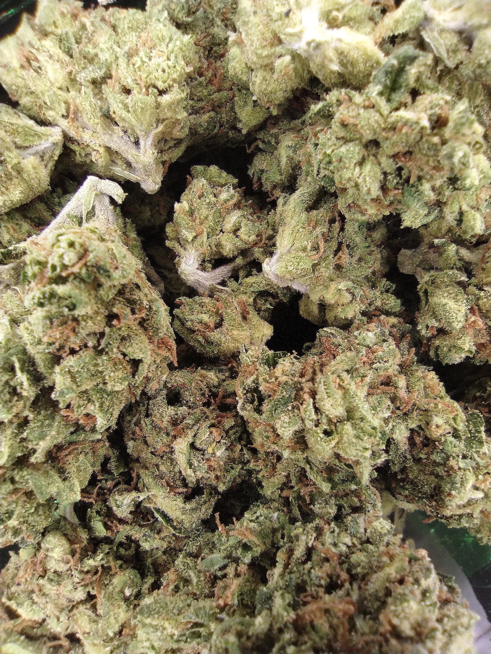 Ananda: Durban Posion
