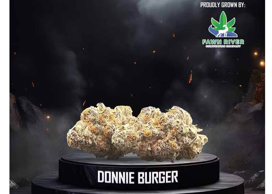 Donny Burger