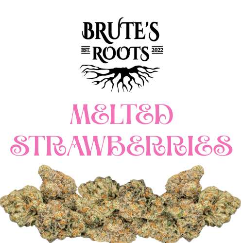 Smalls Flower - Melted Strawberries  |  MED