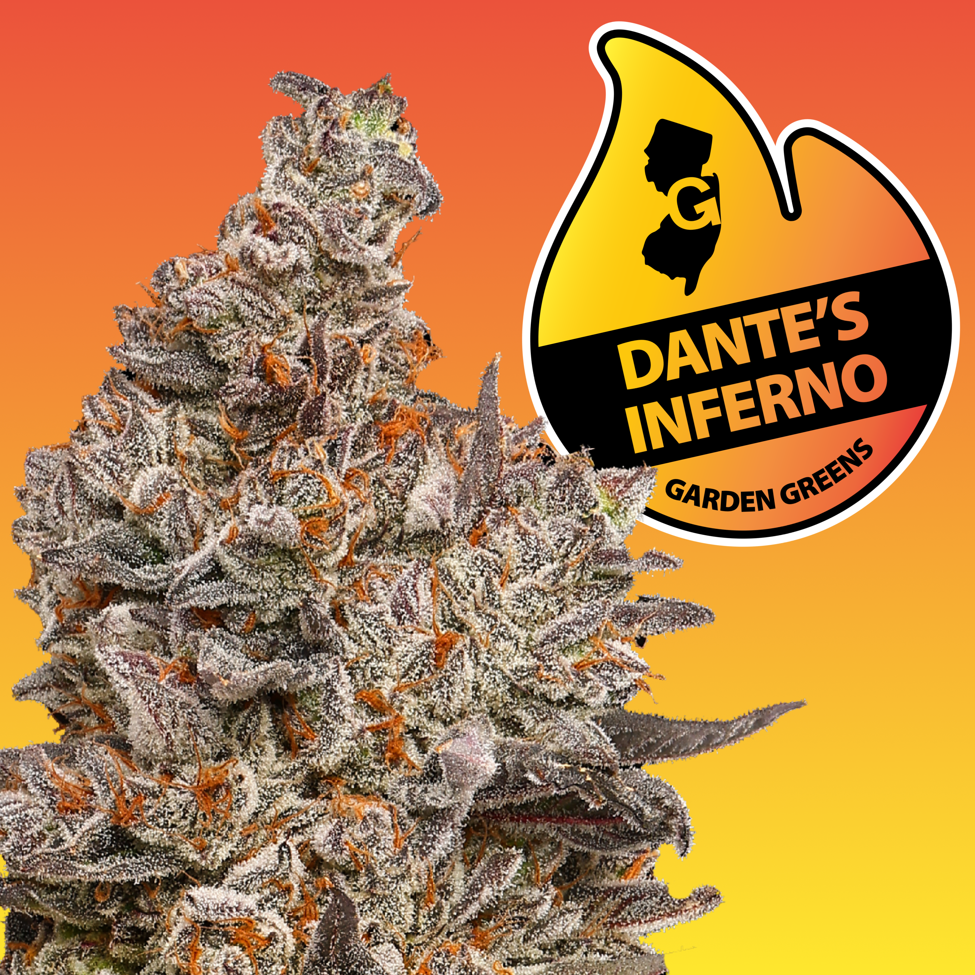 Garden Green x TOKESLY | Dante's Inferno