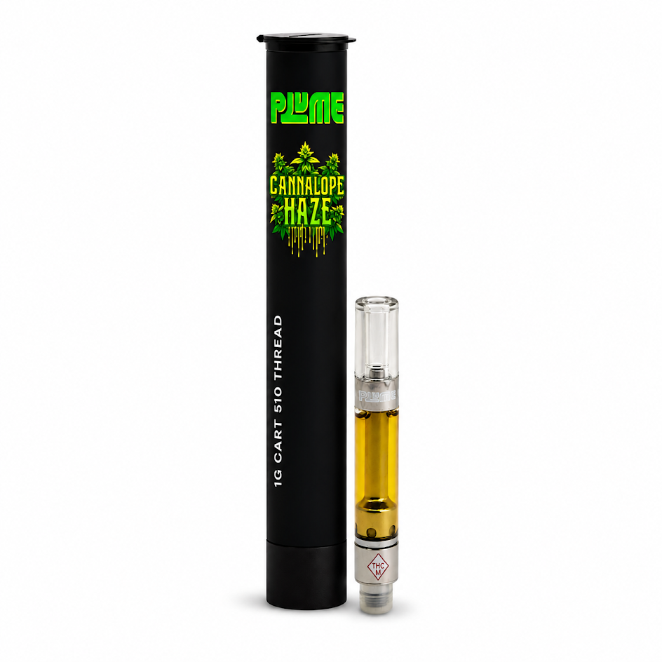 PLUME CARTRIDGE CANNALOPE HAZE (H) 1G