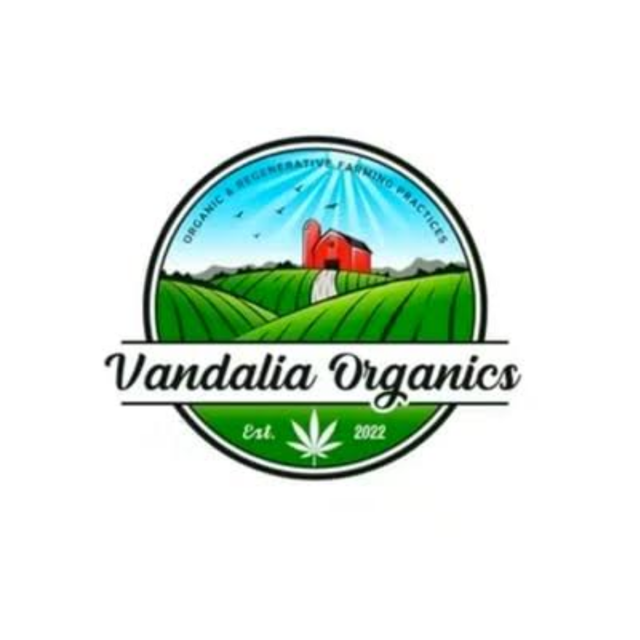 Vandalia Organics | GMO Cookies | Buds - 1oz in Alma