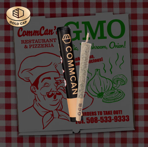 Gmo