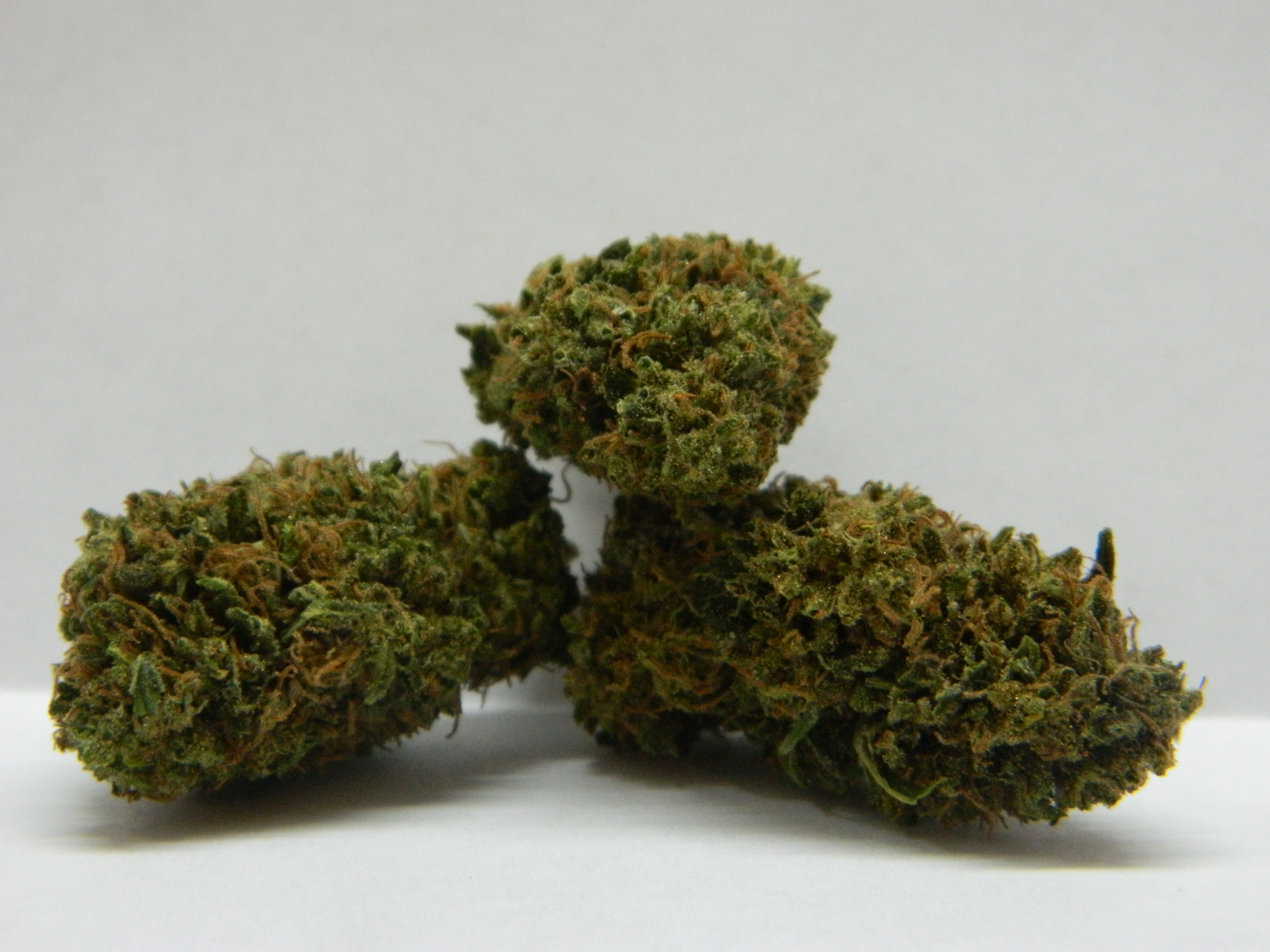 Canna-Tsu (10% off) - 1oz in Scappoose