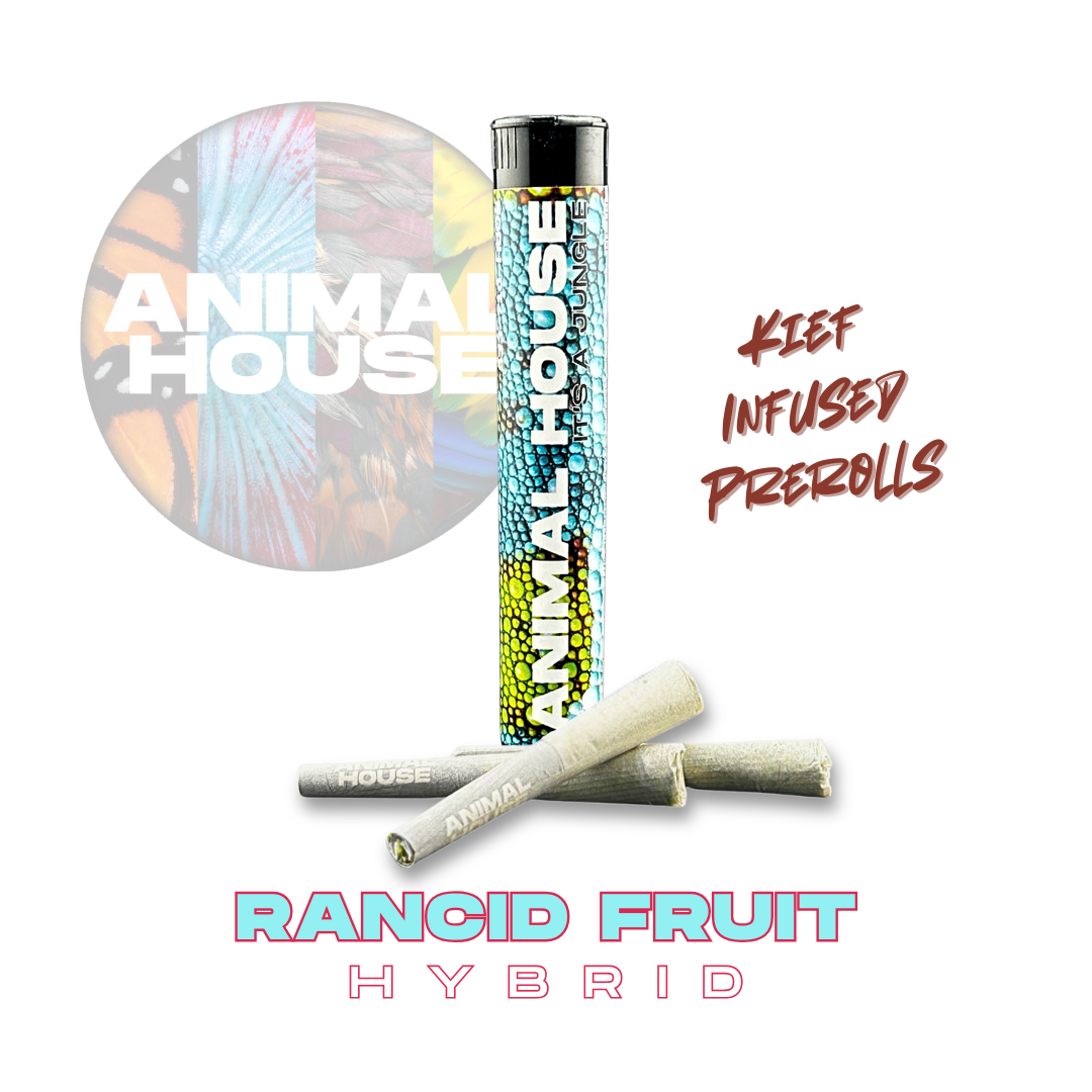 Animal House - Rancid Fruit Infused Preroll 3pk - 1.5g