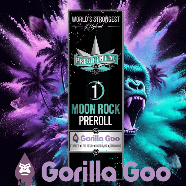 Presidential | Moon Rock Preroll | Infused Gorilla Goo