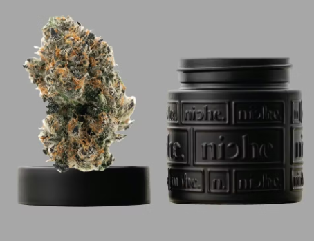 Niche - Lemon Cherry Gelato