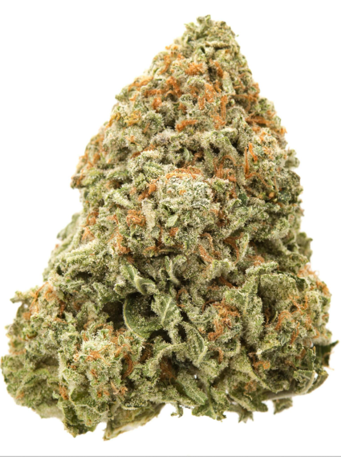 Bulk Flower - Honolulu Blue