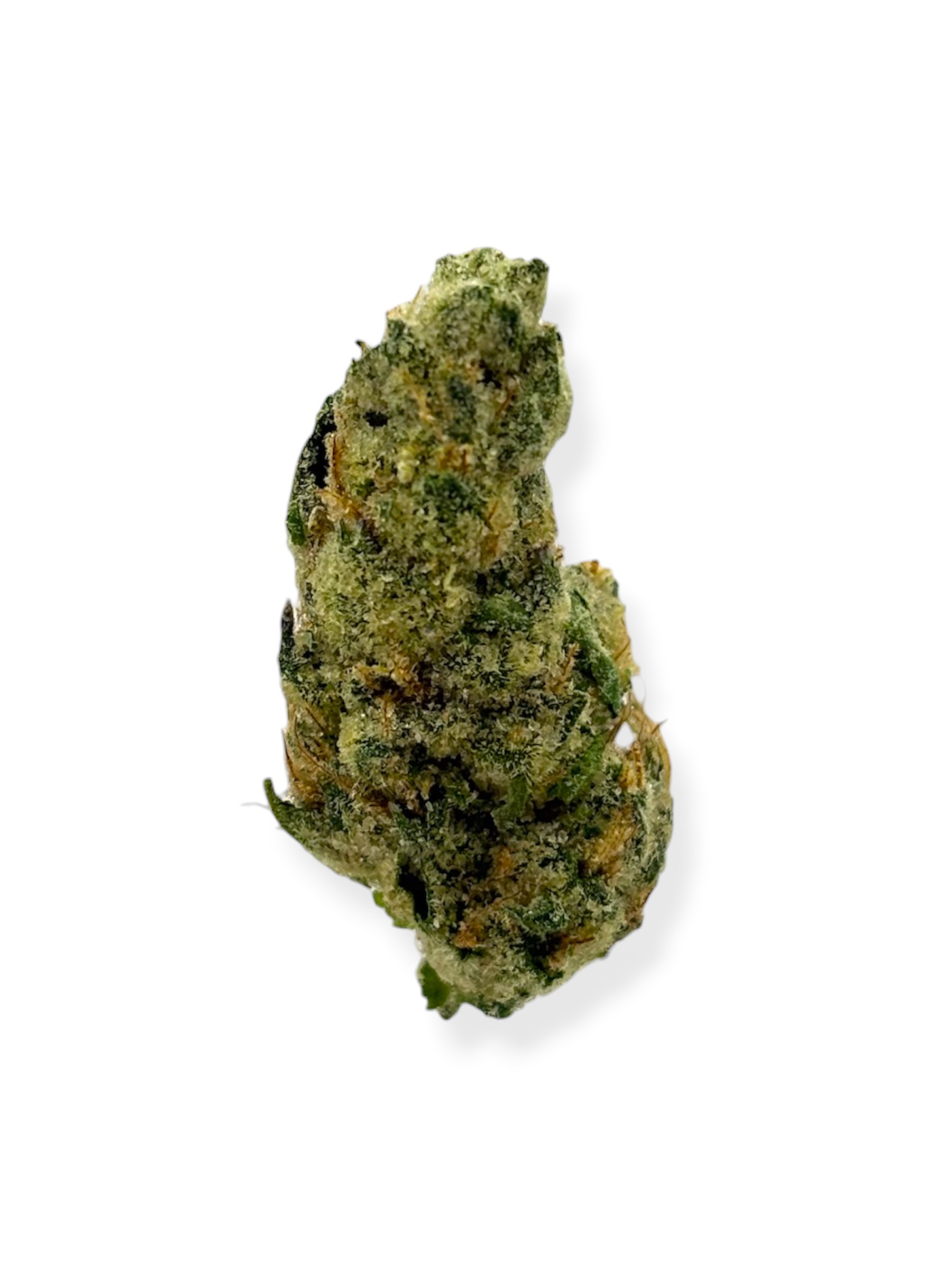 Common CItizen - Bicket OG "Smalls"