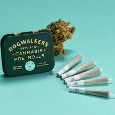 Dogwalkers Brownie Scout (5pk) PRJs