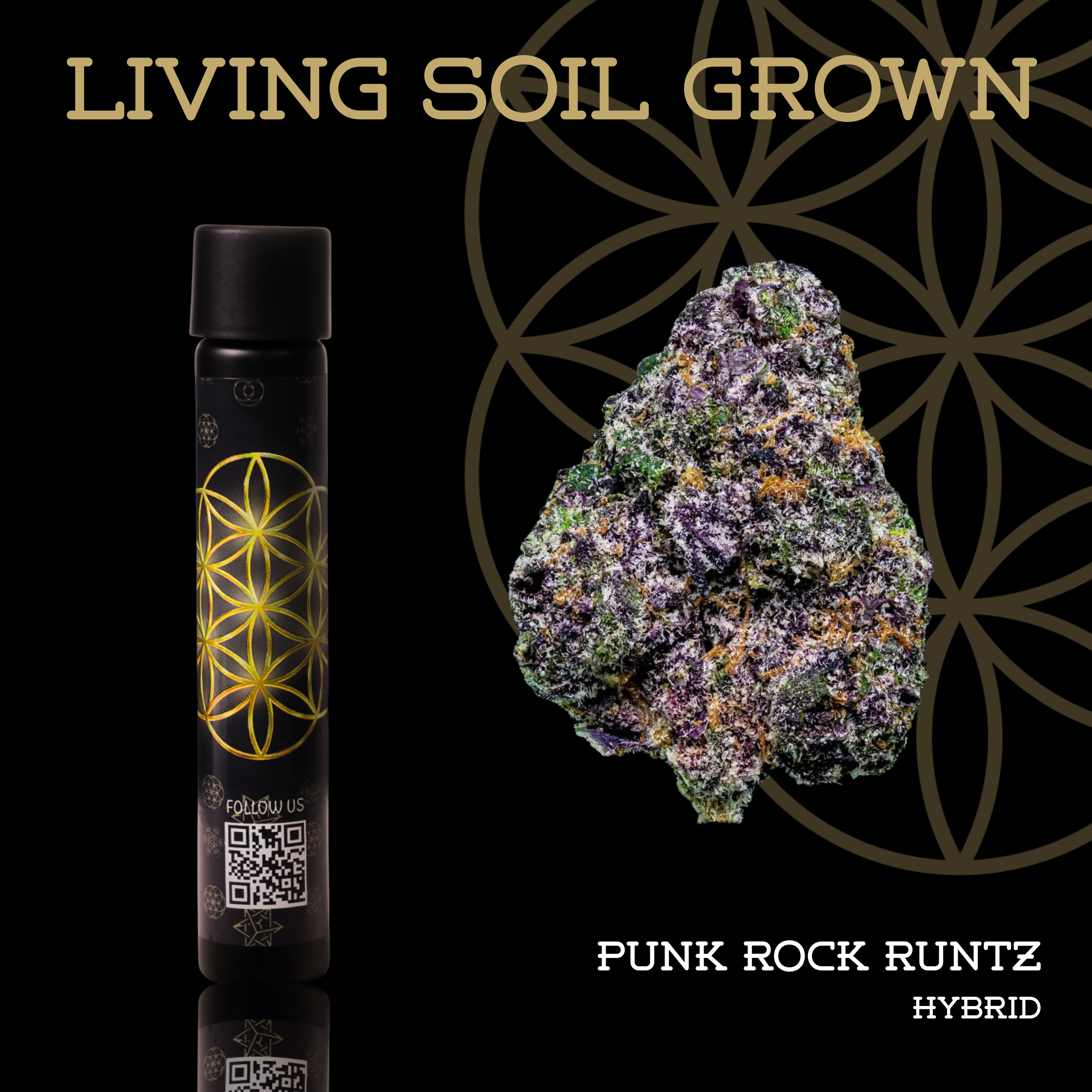 Flower of Life Punk Rock Runtz Pre-Roll 1.0g
