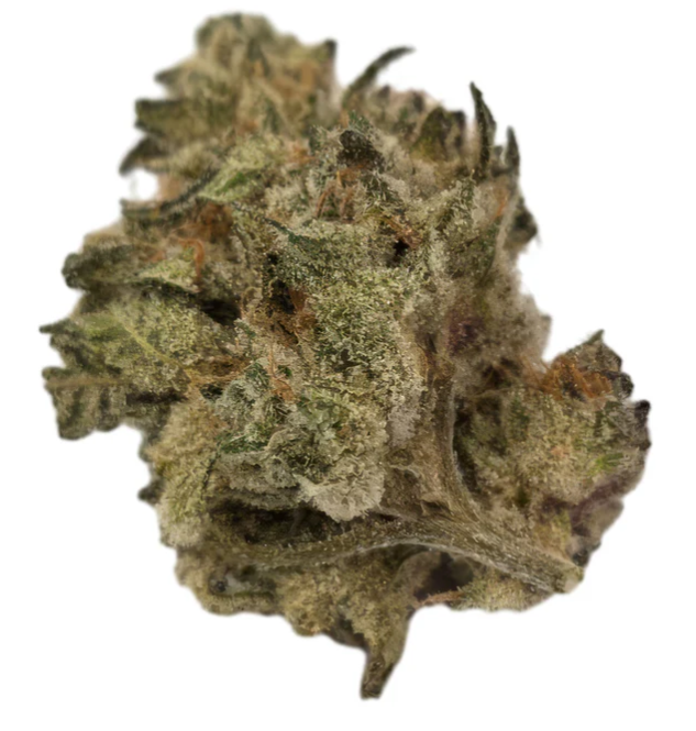 La Cantina Godfather