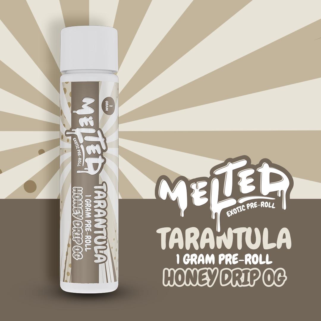 Melted - Tarantulas - 1g Preroll - Honey Drip OG