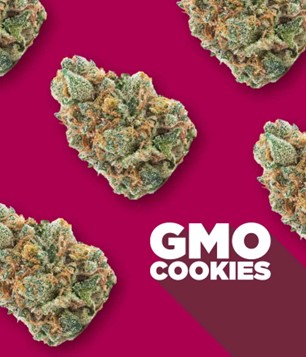 SPINACH GMO COOKIES (IND) DRIED - 28G
