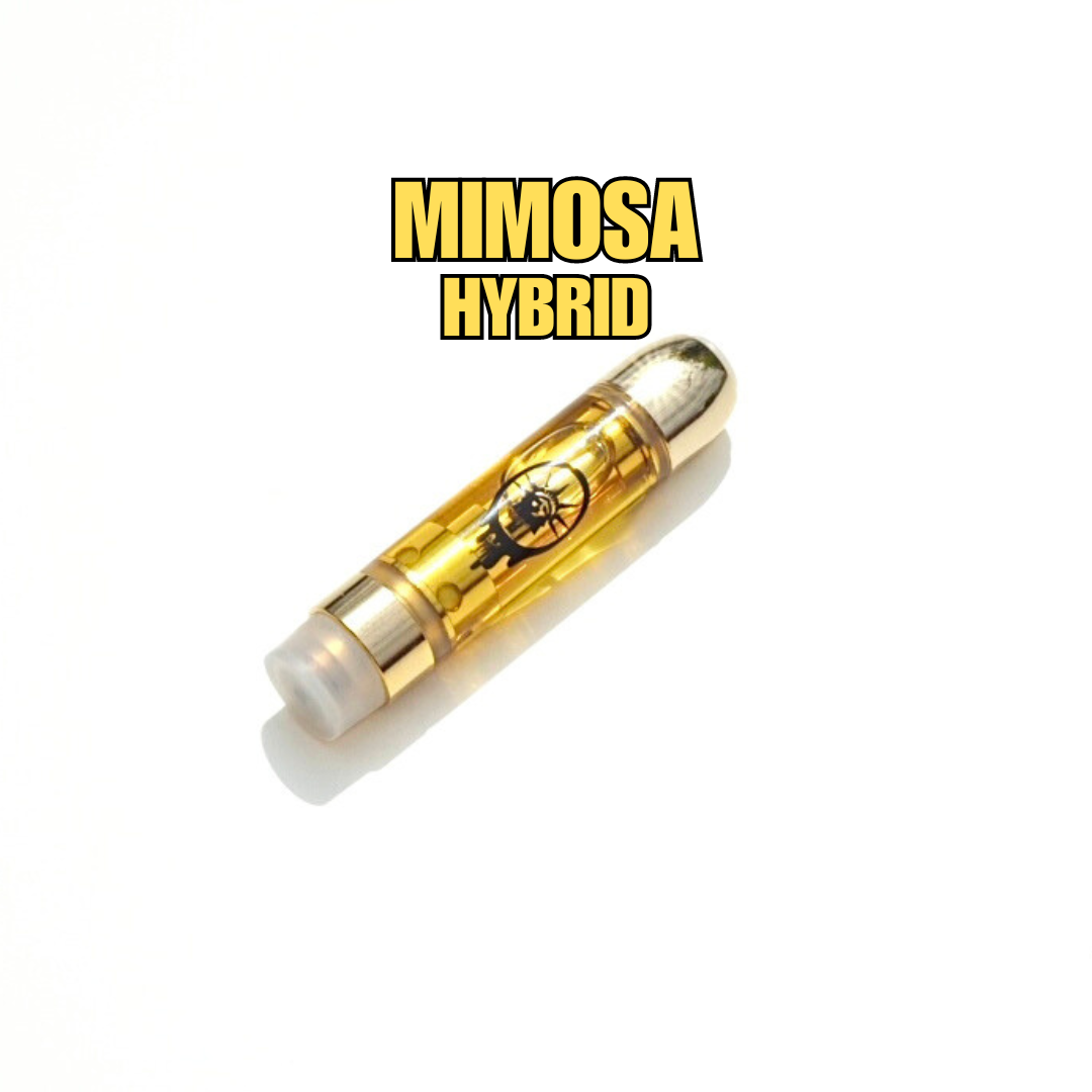 ◆ mimosa