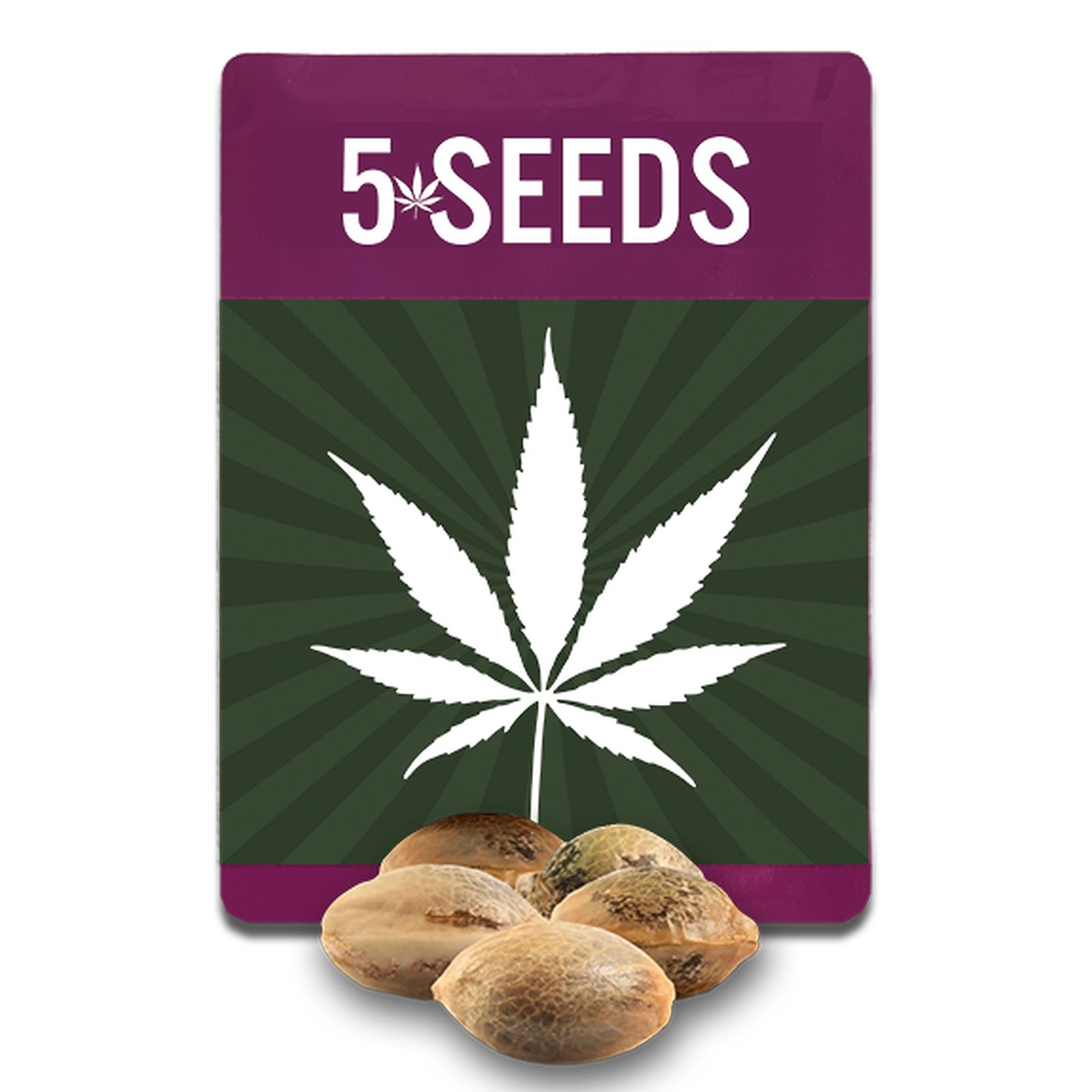 Seeds Seed Auto