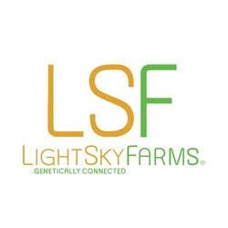 Light Sky Farms - Infused Preroll - Pakistan Chitral Kush #4