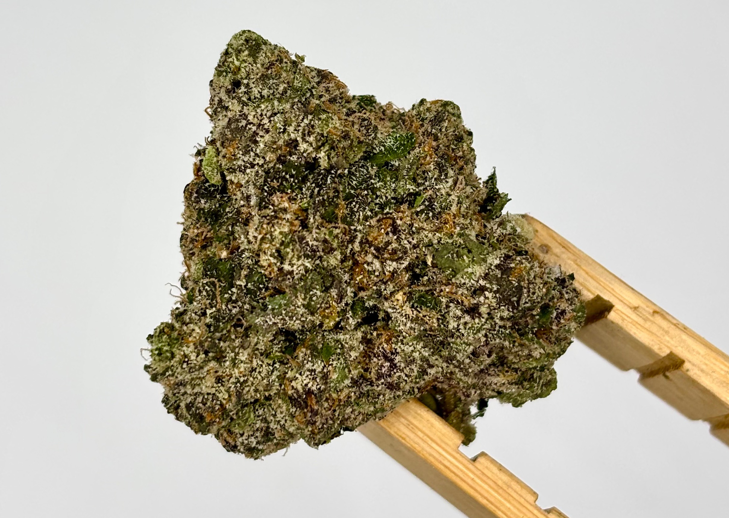 RedFox Cannabis | Jelly Runtz | Bulk Flower