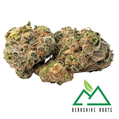 Ice Cream Kush (H) | Flower | 3.5g