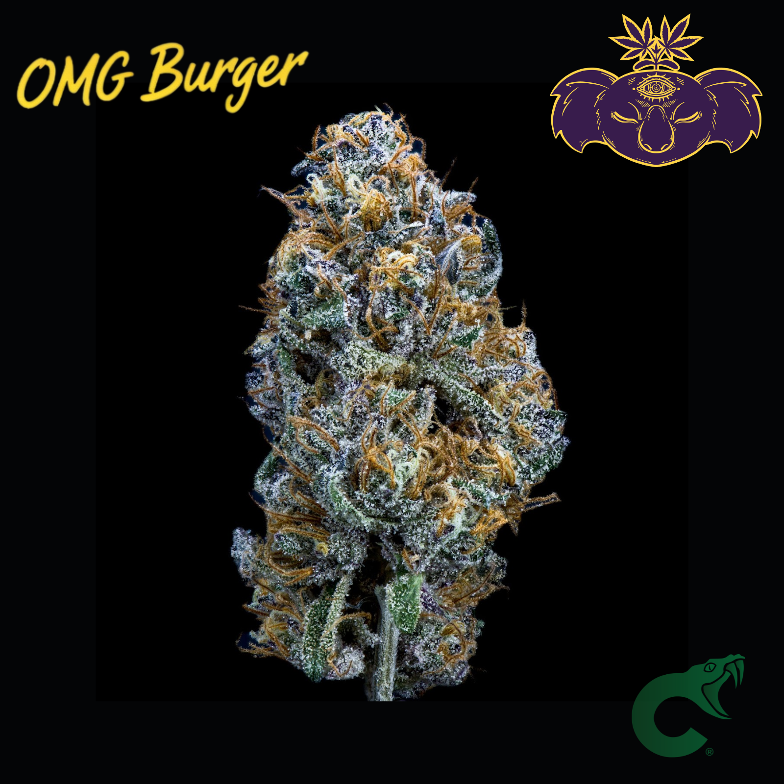Omg Burger
