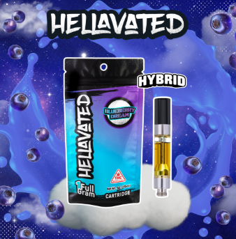 Blueberry Dream Flavored Cartridge | 1g