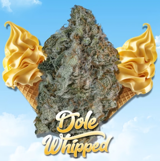 Stoner Village Dole Whipped #1