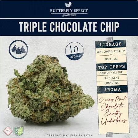 TRIPLE CHOCOLATE CHIP (BUDLET) (14.15G)