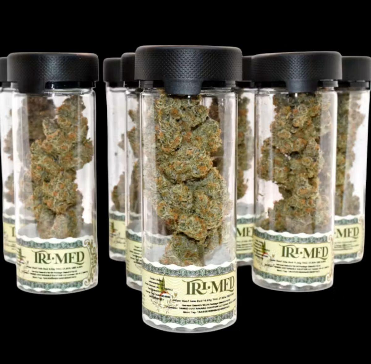 GELATO - COLA BUD - WEIGHT CAN VARY BY 5-15G