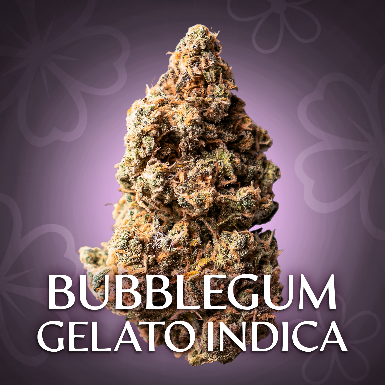Double Bubble Gelato
