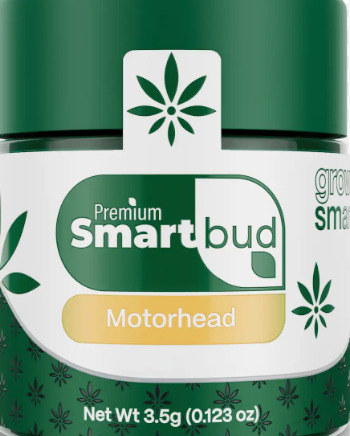 Flower | Hybrid | Motorhead