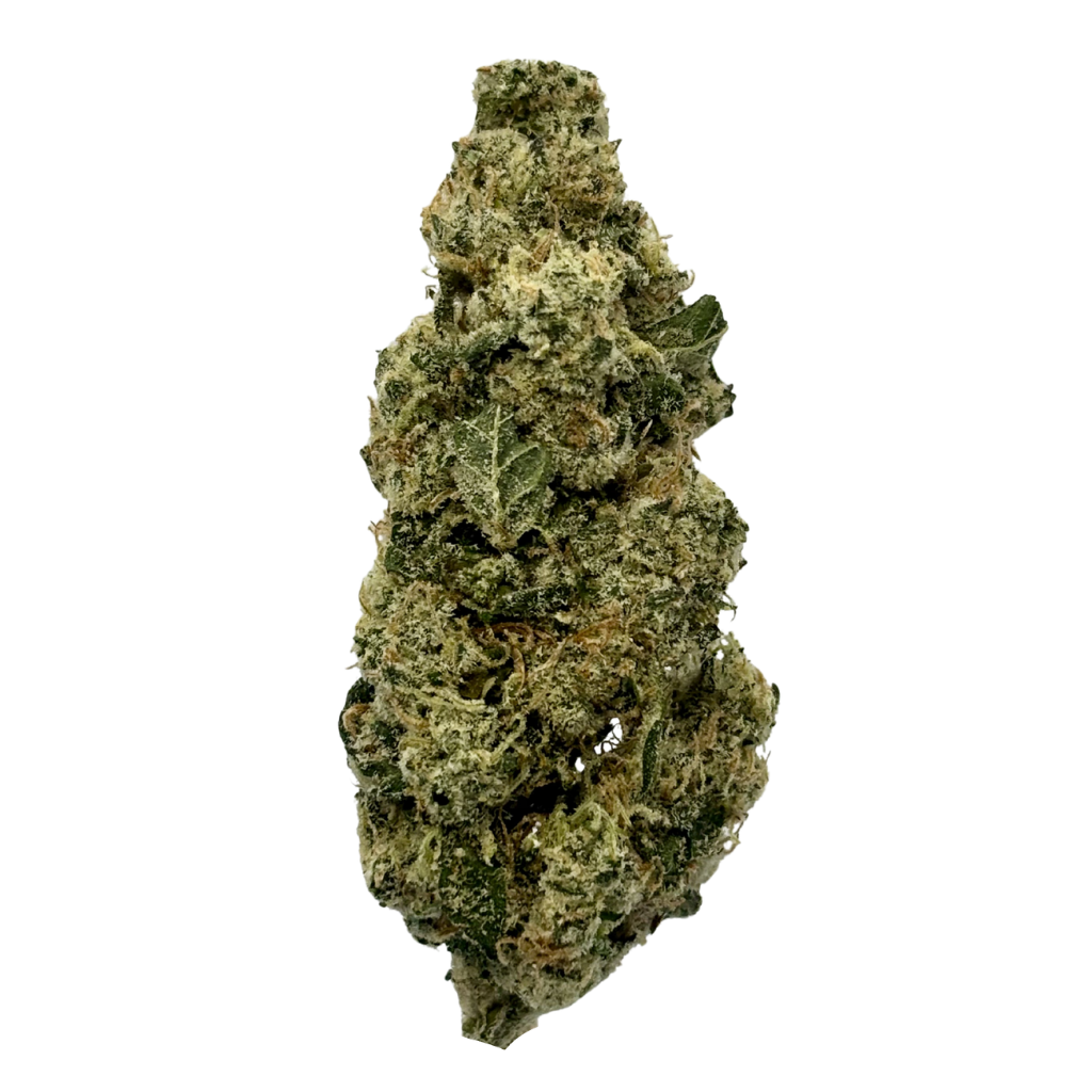CARBON | ANIMAL MINT CAKE | BULK FLOWER