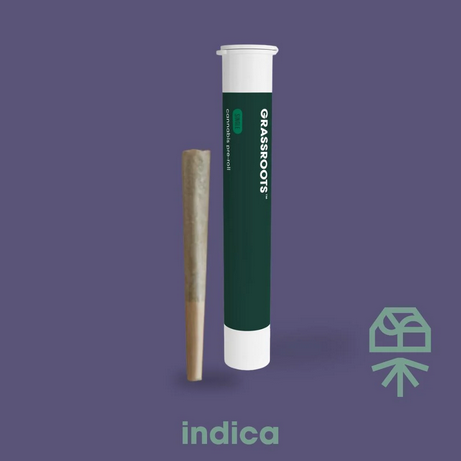 Cheddar Cheeze - Pre-Roll - 1pk