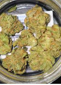 Find - Turnpike Cookies - 28g - H