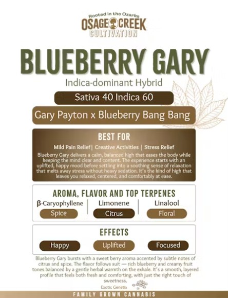 Blueberry Gary 7g Popcorn Flower