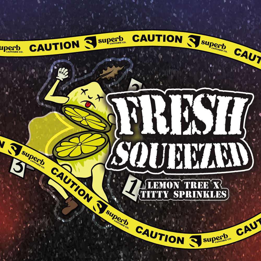 Superb | Fresh Squeezed | 14g Pre-Pack Jar