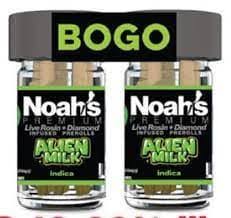 Froot: Noah S Bogo Alien Milk