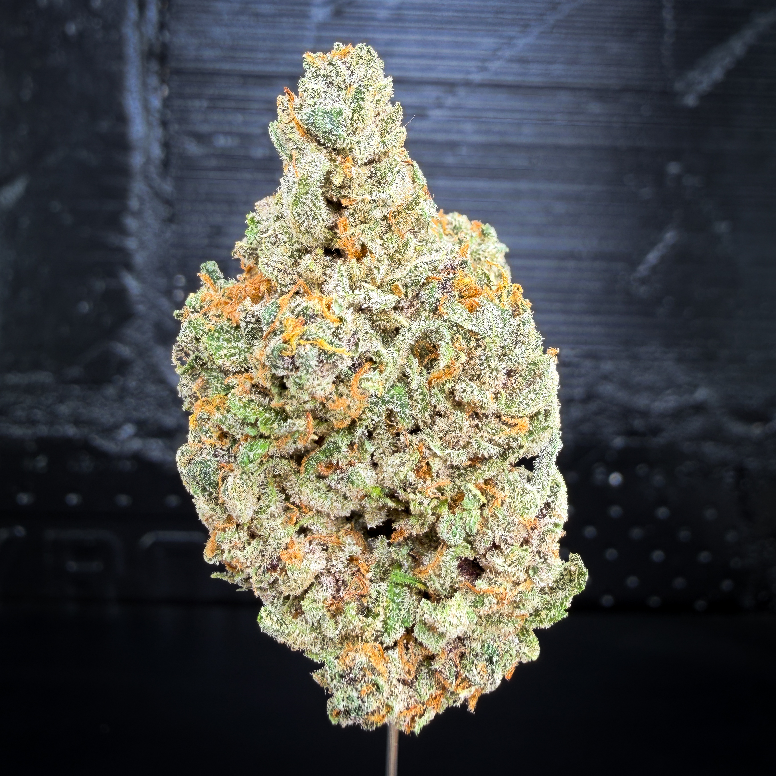 White Widow