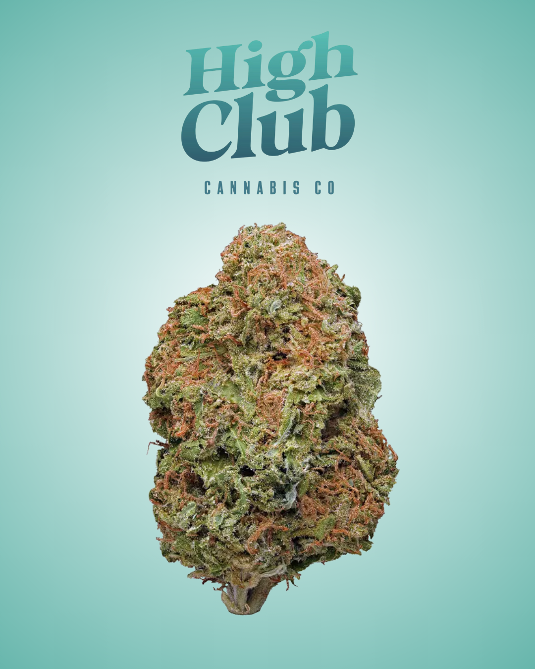 Deli | Honolulu Blue | White Tier