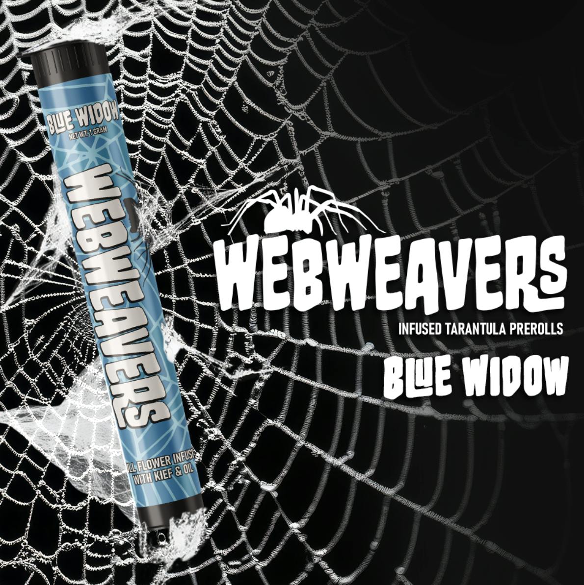 Blue Widow | 1g Tarantula | WebWeaver