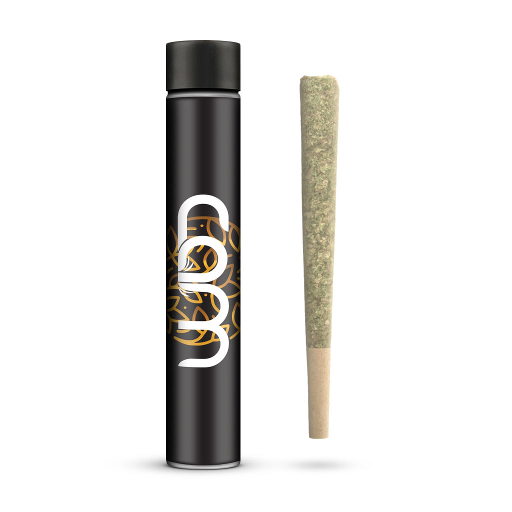 CAM | Devil Driver | Preroll