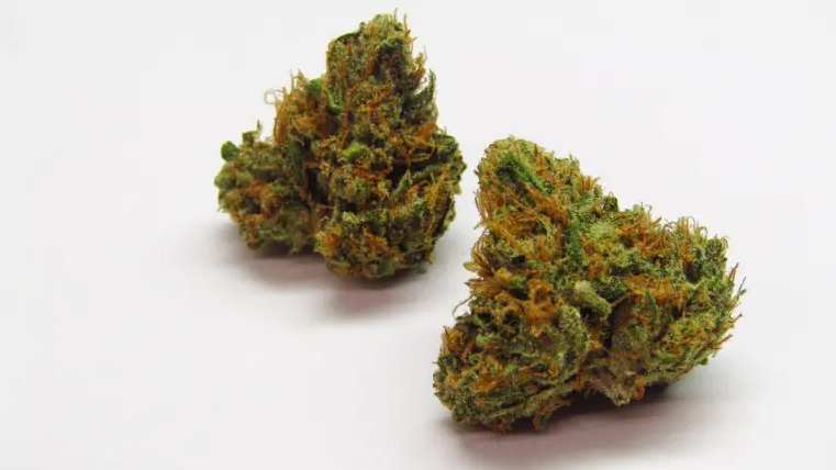 LIVWELL Tangerine Dream 10g