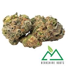 Ice Cream Kush | 3.5g