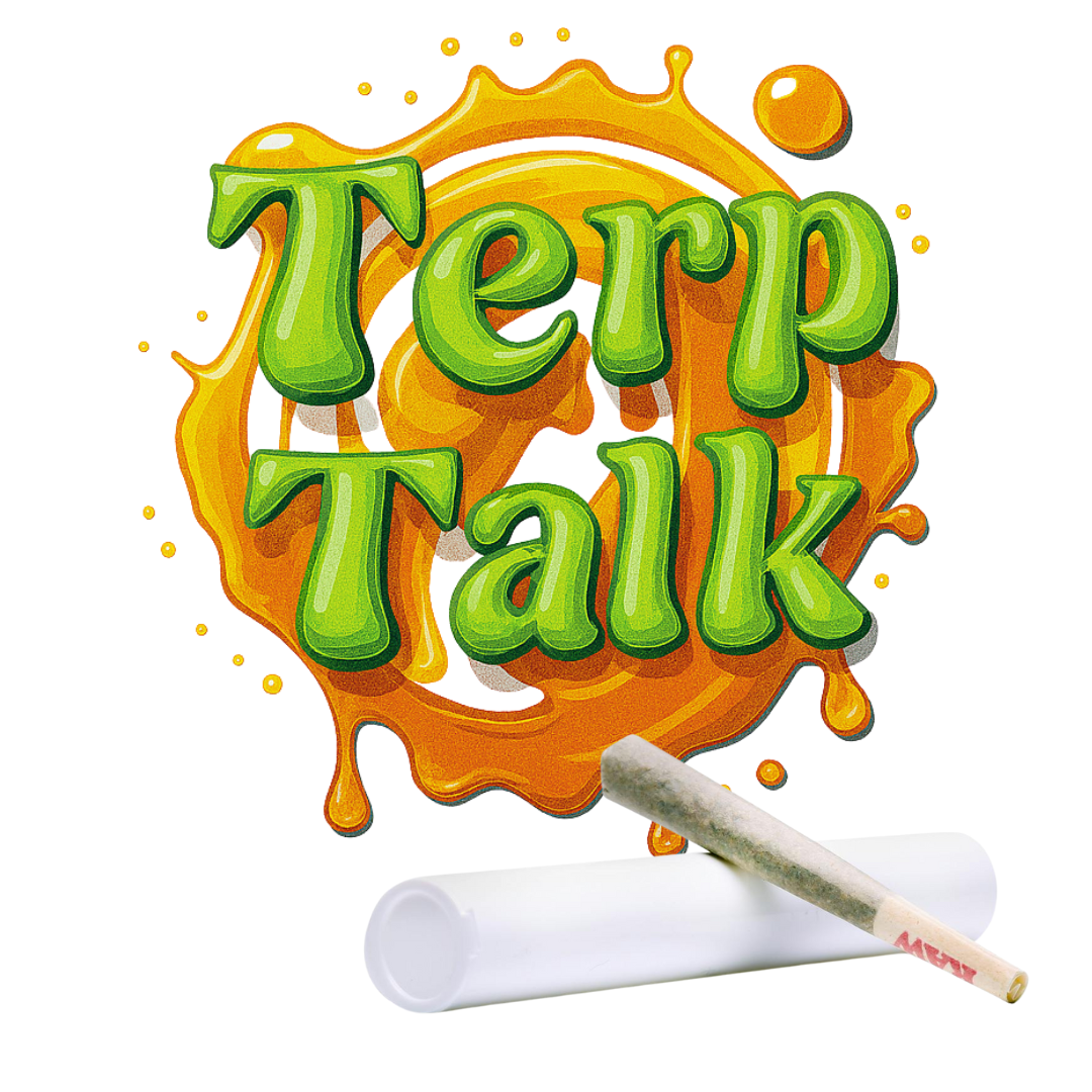 Terp Talk - 1.2G Infused Preroll - Pineapple Plug