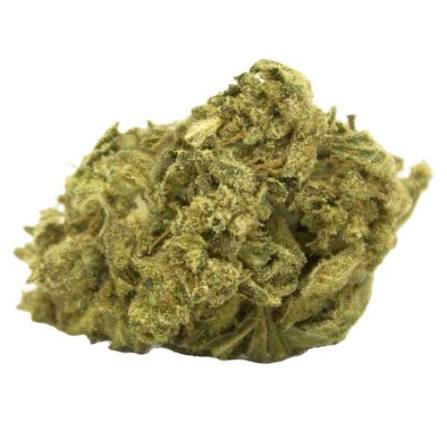 No Bad Days Jesus OG