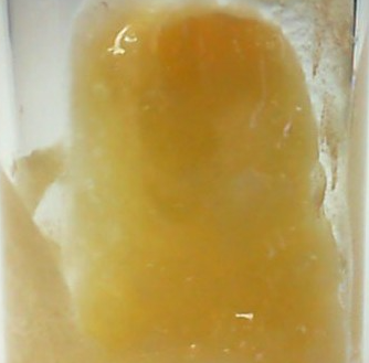 Bloom Montana (1g Shatter-Select-Grape Cream Cake)